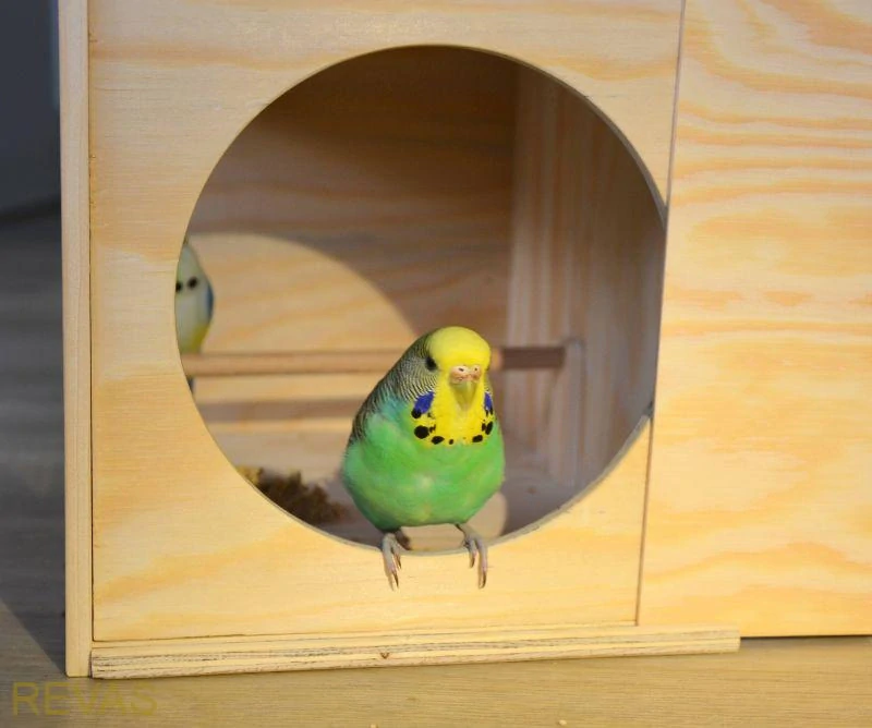 Dřevěná přepravka, přenoska pro ptáky, hlodavce, zakrslé králíky